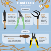 hand-tools-beginners